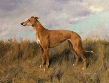 Chien œuvres - Henrietta Horn Un animal Greyhound Arthur Wardle Chien